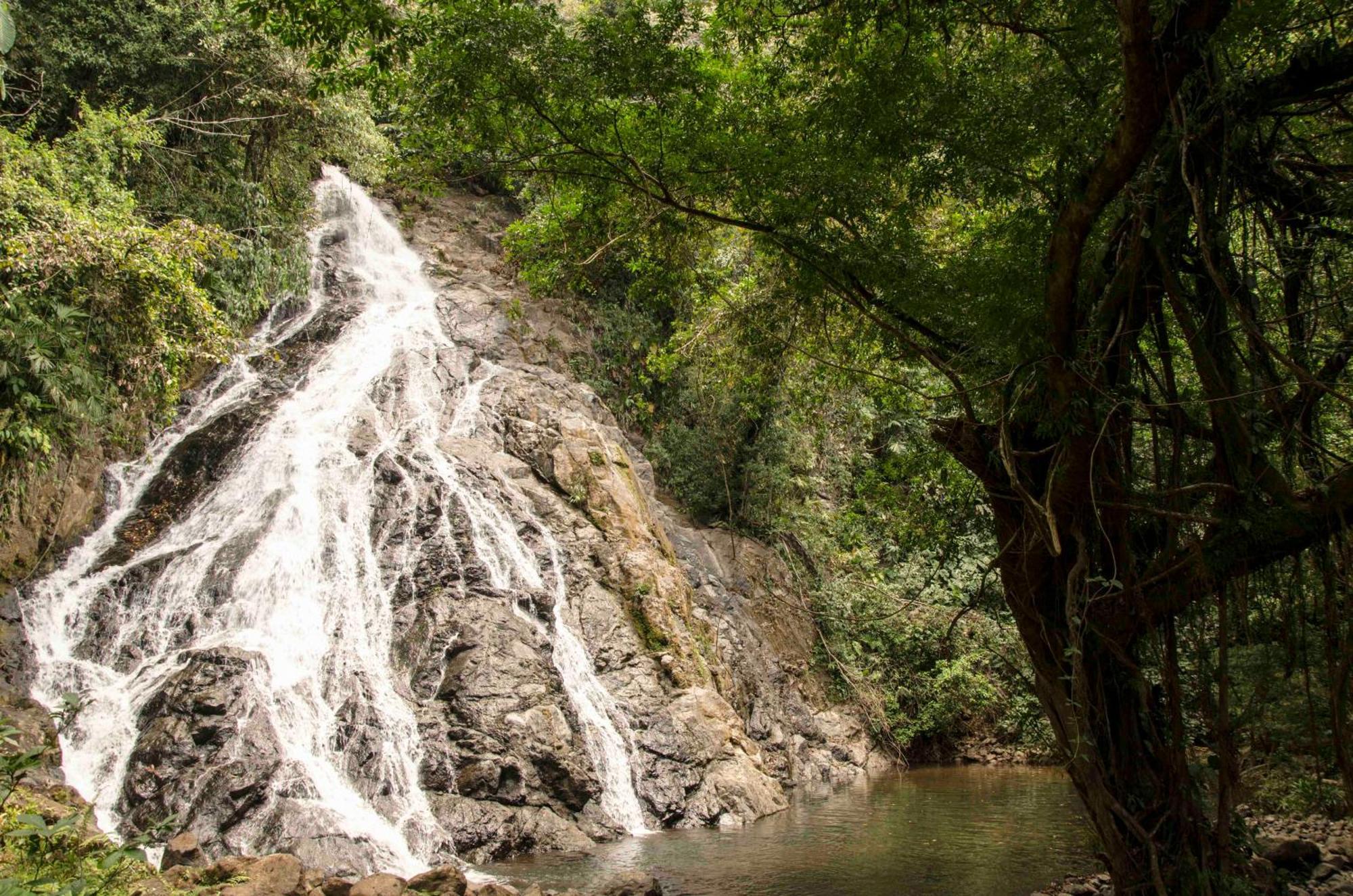 Jardin Botanico Del Pacifico Y Mecana Ecohotel Bahia Solano Εξωτερικό φωτογραφία