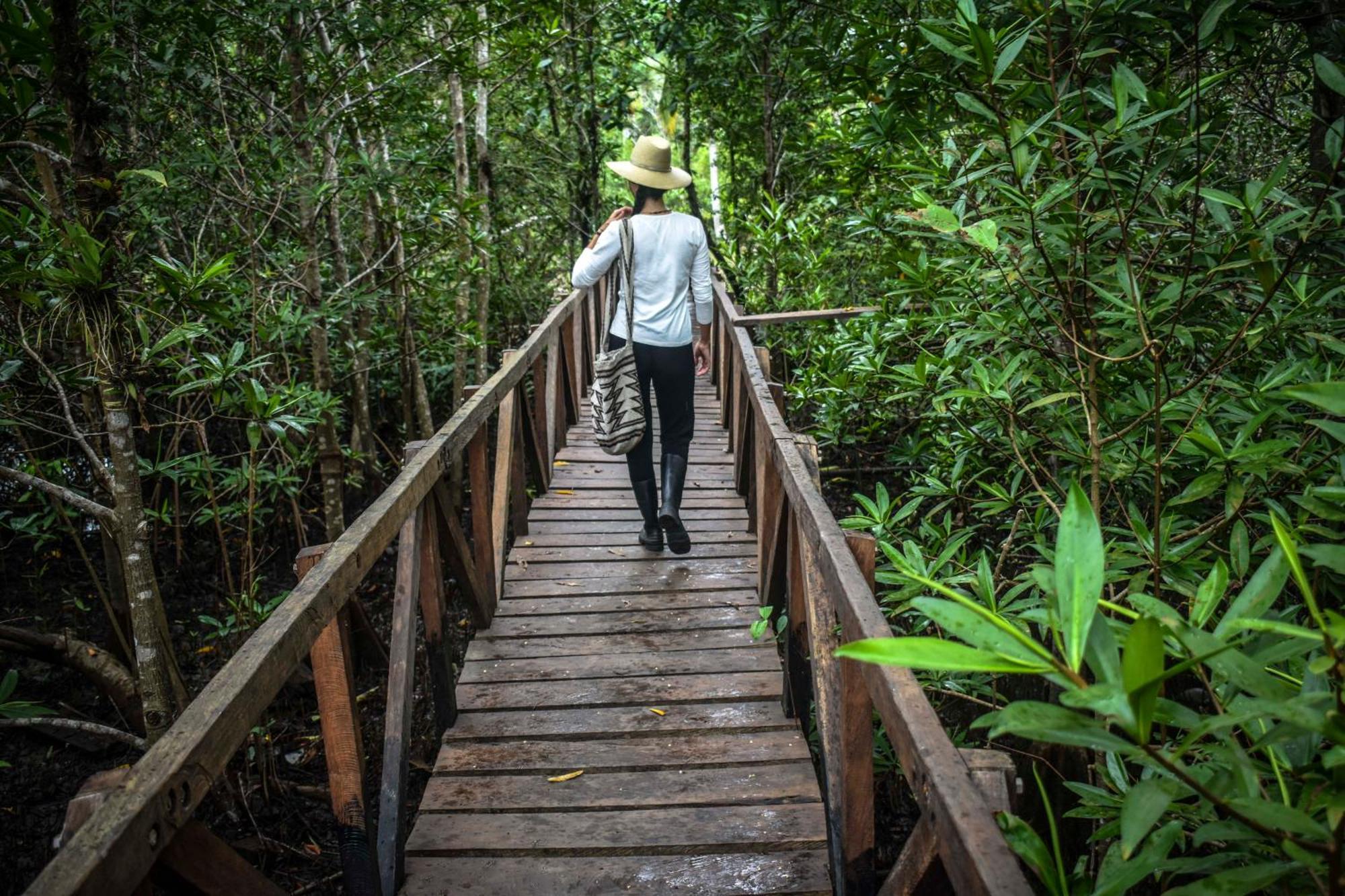 Jardin Botanico Del Pacifico Y Mecana Ecohotel Bahia Solano Εξωτερικό φωτογραφία